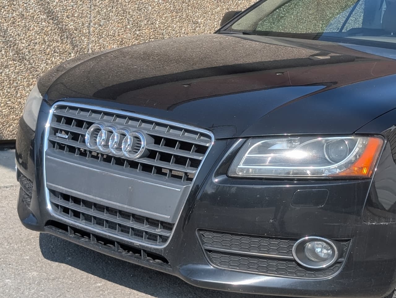 0ae29313-3711-40bb-87e3-22657e2e4f3e