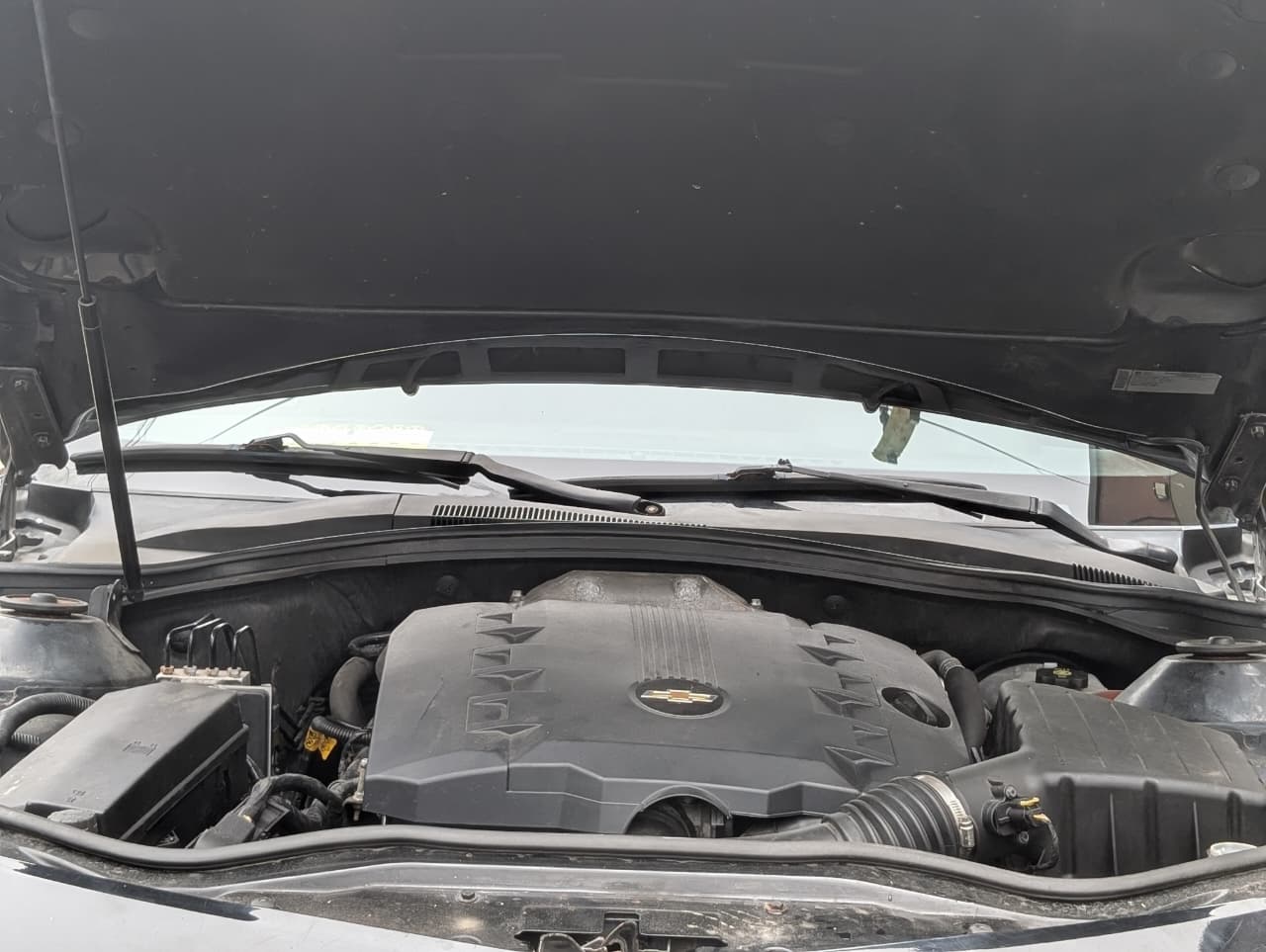 c3884a1a-0388-446b-b62b-836d30bf6f34