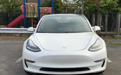 2019 TESLA MODEL 3 STANDARD RANGE PLUS RWD